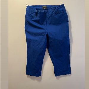 Reitmans Blue Capri Pant. Size 16